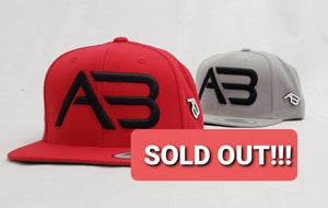 SALE!!!!! A&B 3D PUFF STITCHING SNAPBACK W / AB PIN Icicle will not restock...